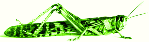 heuschr