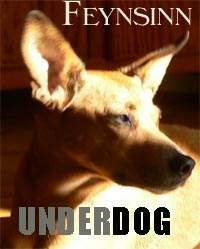 hund